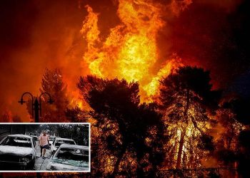 Greece wildfires: Death toll rises to 79 amid search for survivors