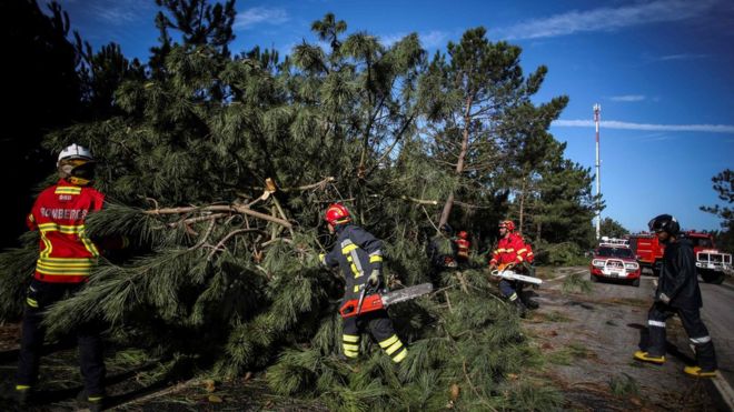 300,000 homes hit by hurricane-force winds in Portugal