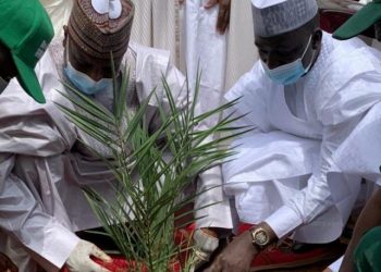 Sokoto State Governor inaugurates tree plantation