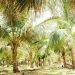 Lagos State Government Plans to Establish 500-Hectare Coconut Plantation