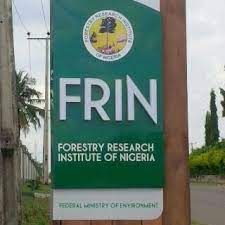 FG to Plant 10 Million Trees to Check Deforestation
